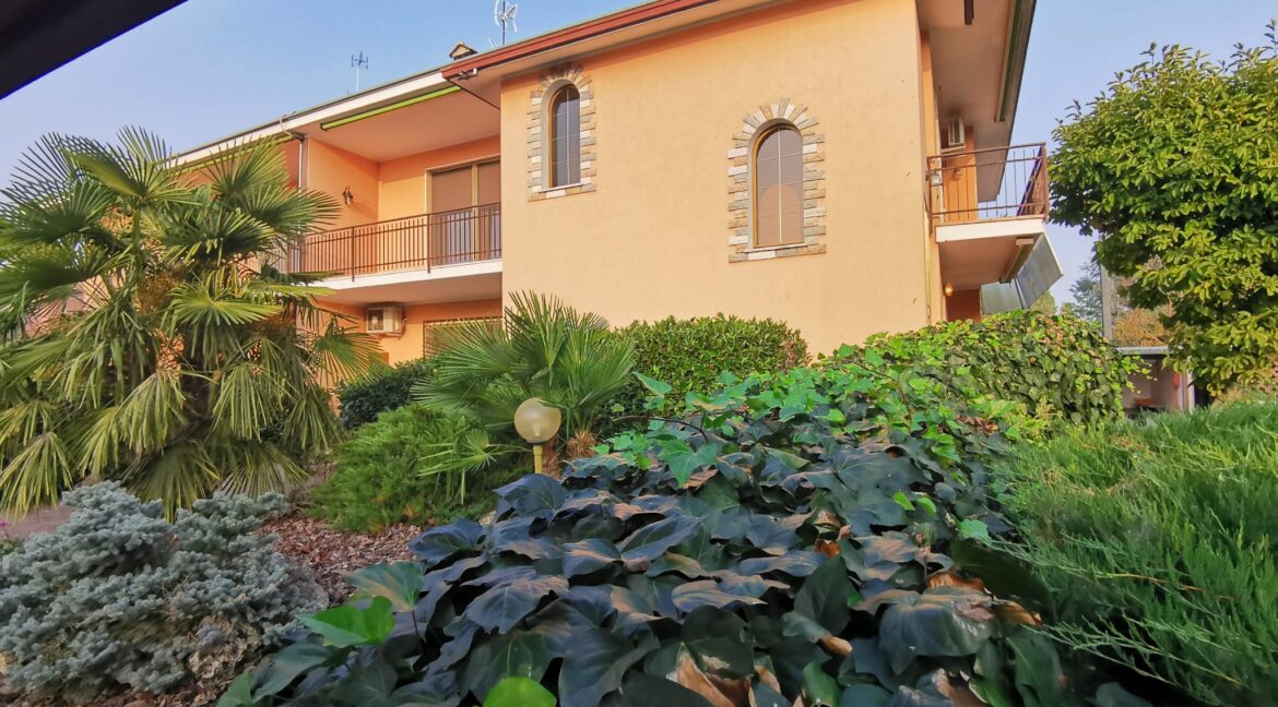 WhatsApp Image 2024-03-15 at 11.06.46