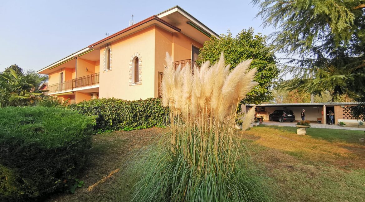 WhatsApp Image 2024-03-15 at 11.06.47