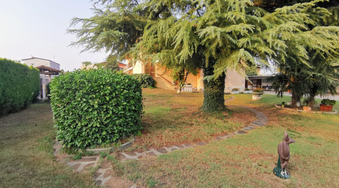 WhatsApp Image 2024-03-15 at 11.06.47 (2)